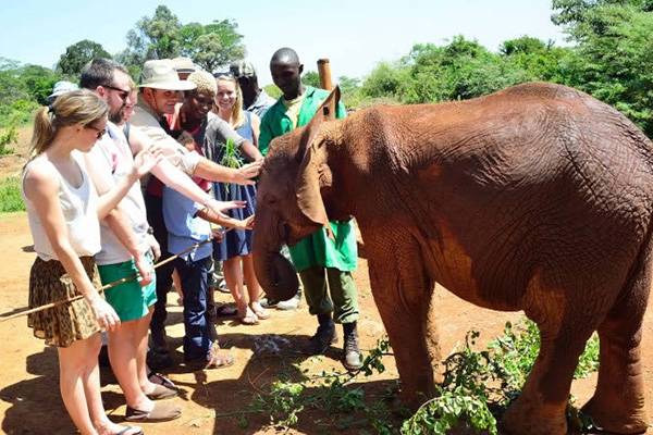 David Sheldrick, Giraffe Centre, and Kobe Beads Factory Tour